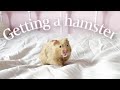 GETTING A SYRIAN HAMSTER | VLOG 🌸🐹