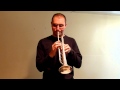 What Am I Here For? - Clifford Brown Transcriptions Episode 26