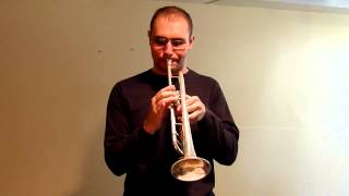 What Am I Here For? - Clifford Brown Transcriptions Episode 26