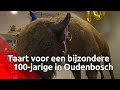 Bizon viert honderdste verjaardag