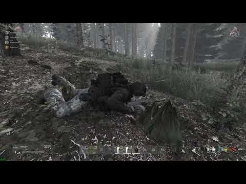 Defending our base from raiders with broken leg! | DayZ expansion | BoS Esseker