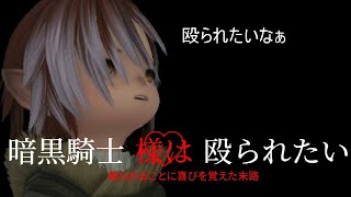 【FF14】殴られることに喜びを覚えた暗黒騎士の末路【ゆっくり】