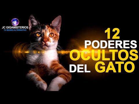 10 HIDDEN POWERS of CATS