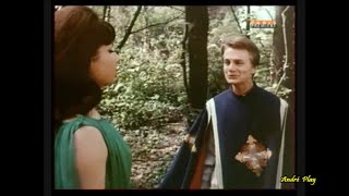 Claude François Marche tout droit