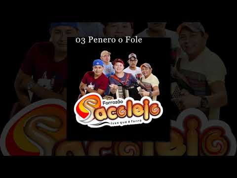 03 Forrozão Sacolejo - Penero o Fole