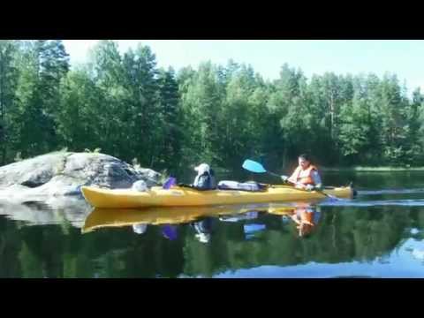 Незабываемая Сайма