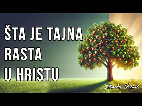 Šta je tajna rasta u Hristu, Zdravko Vučinić
