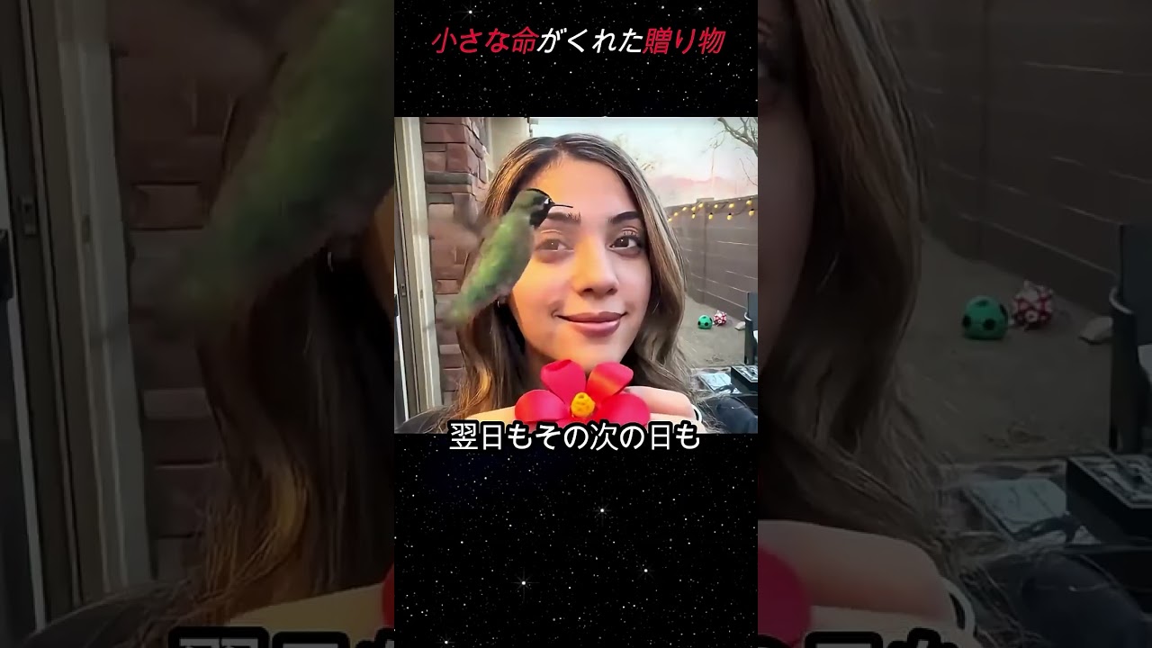 縛られた子犬と諦めなかった男の絆