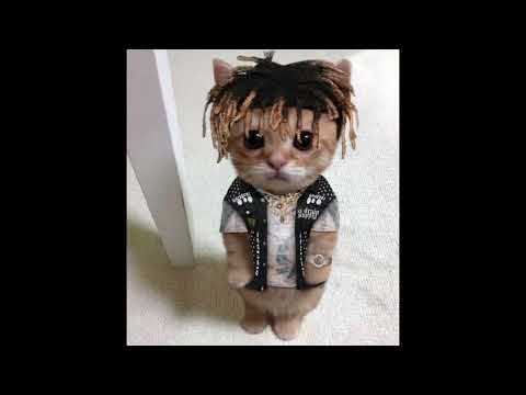 cigarettes studio session