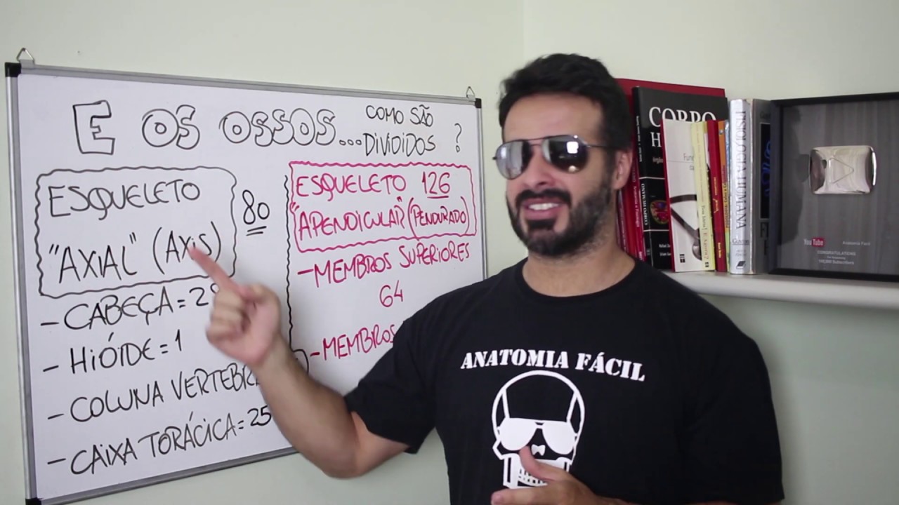 Minuto da Anatomia #26: DIVISÕES DO ESQUELETO