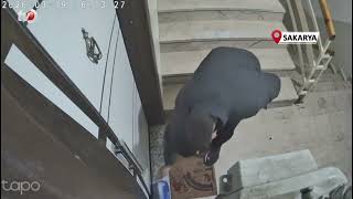 Kapı Kapı Para Topladı, Gözü Kargoda Kaldı