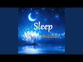 Night Notes