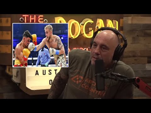 Joe Rogan on why Boxing is superior to MMA