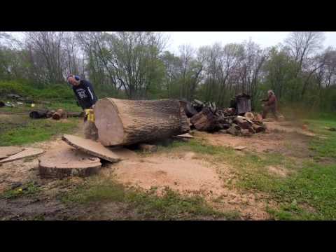 husqvarna 394 vs Stihl 064 perspective 101