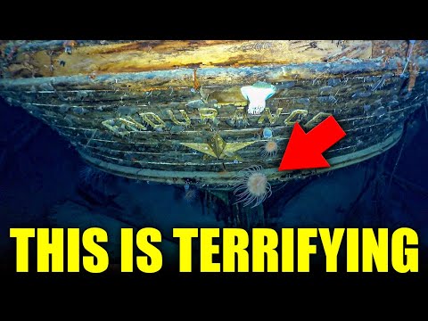 Underwater Robots Find Shackleton's Endurance Shipwreck in Antarctic What They Saw Is TERRIFYING