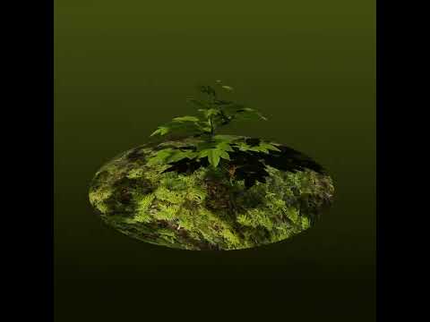 Plant Growth with Geometry Nodes