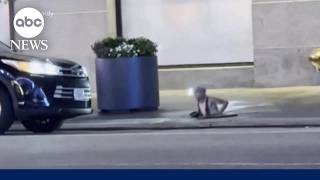 NYPD to investigate new video of people emerging from a sewer in NYC