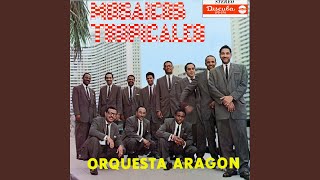 Solamente Tú Lyrics English Translation