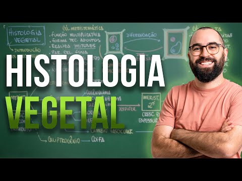 Introdução à Histologia Vegetal (Tecidos) - Aula 07 - Módulo 5: Botânica