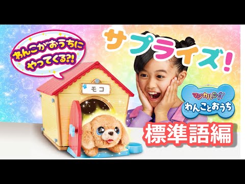 マジカルDIY わんことおうち　わんこがおうちにやってくる！？　PV