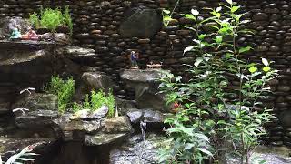 Relaxing Piano Music, Calming Music, Relaxation Music