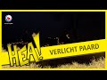 HEA! Paard met lichtjes