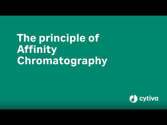 Key handbooks for purification and chromatography