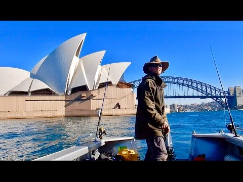 Small Tinny, Big City.. Solo Boat Camping Adventure Sydney Harbour