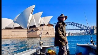 Small Tinny, Big City.. Solo Boat Camping Adventure Sydney Harbour