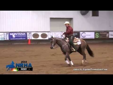 JSE Smart Gun ridden by Pete L Kyle - 2014 NRHA Derby(Nov. Horse Open - Show 2)