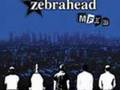 ZebraHead - The Set Up 