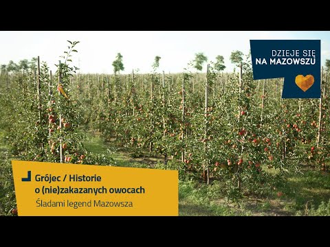 Śladami legend Mazowsza - Historie o (nie)zakazanych owocach / Grójec