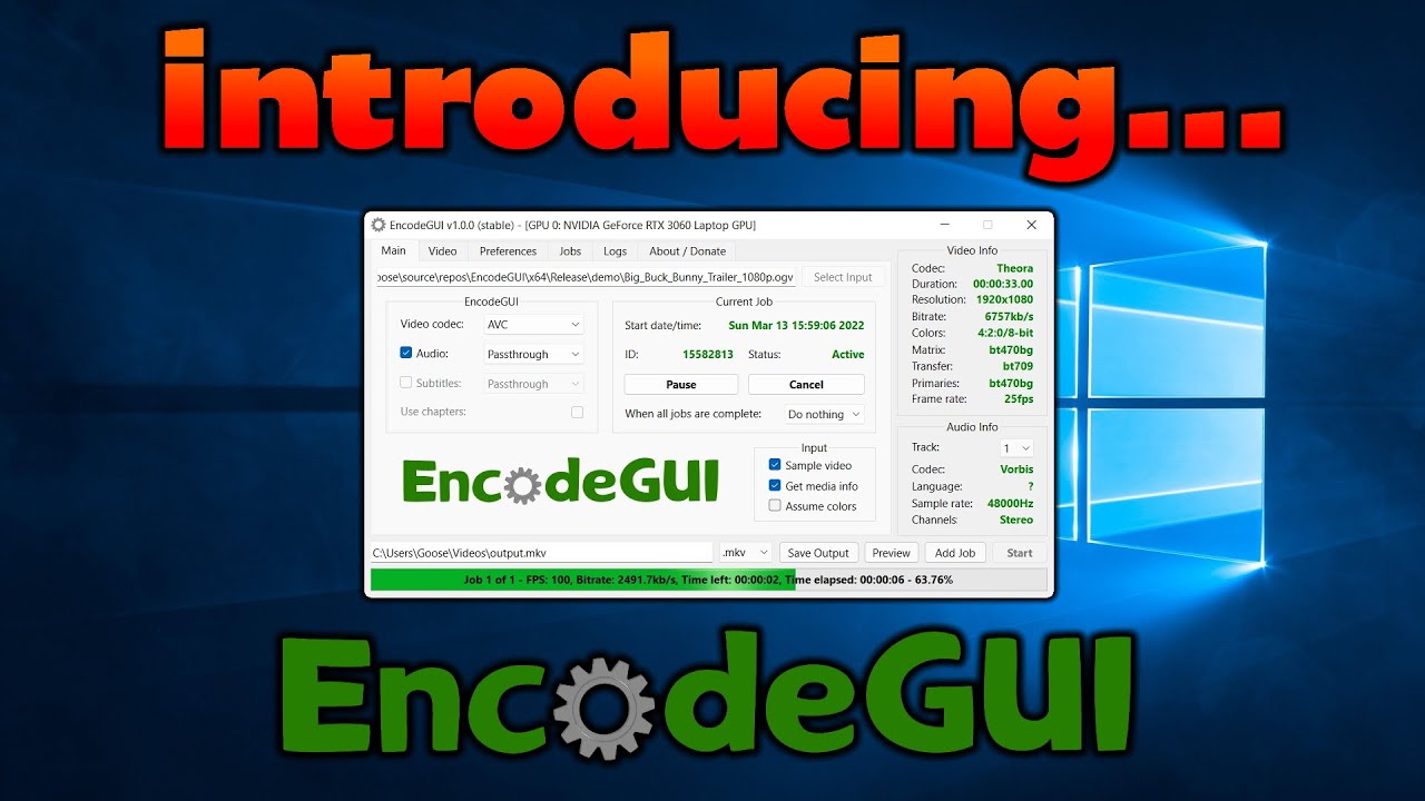Have I Been Encoded tutorial