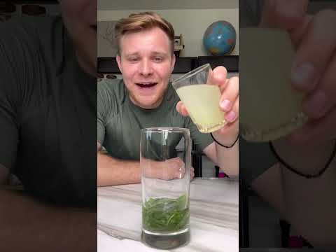 Best Mojito In The World (IMO)