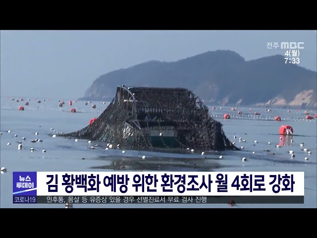 김 황백화 예방 위한 환경조사 월 4회로 강화