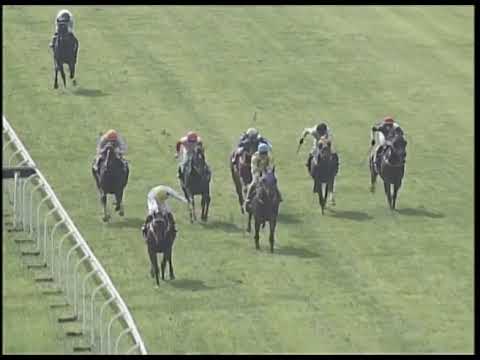 2019-03-16 Race 3(0190) - THE WOLFSBURG