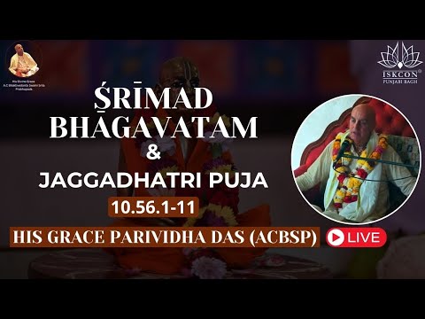 His Grace Parividha Das (ACBSP) | SB.10.56.1-11 | 10th November Sunday 2024