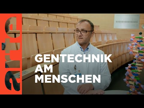 Optimierung oder Diskriminierung? | Agree to Disagree | ARTE