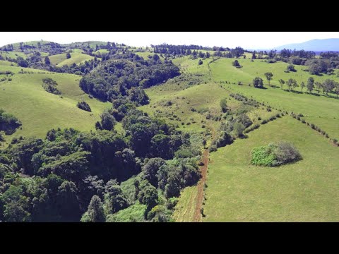 Address Withheld, Millaa Millaa, QLD 4886, 0 Bedrooms, 0 Bathrooms, Lifestyle Property