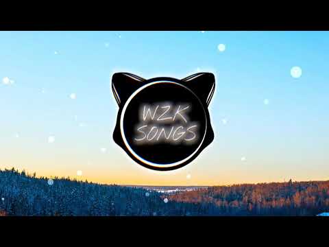 WZK SongS - Time Leaper (By:Hinkik.)