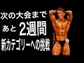【クラシックフィジーク】新たな挑戦【ボディビルで感じた事】