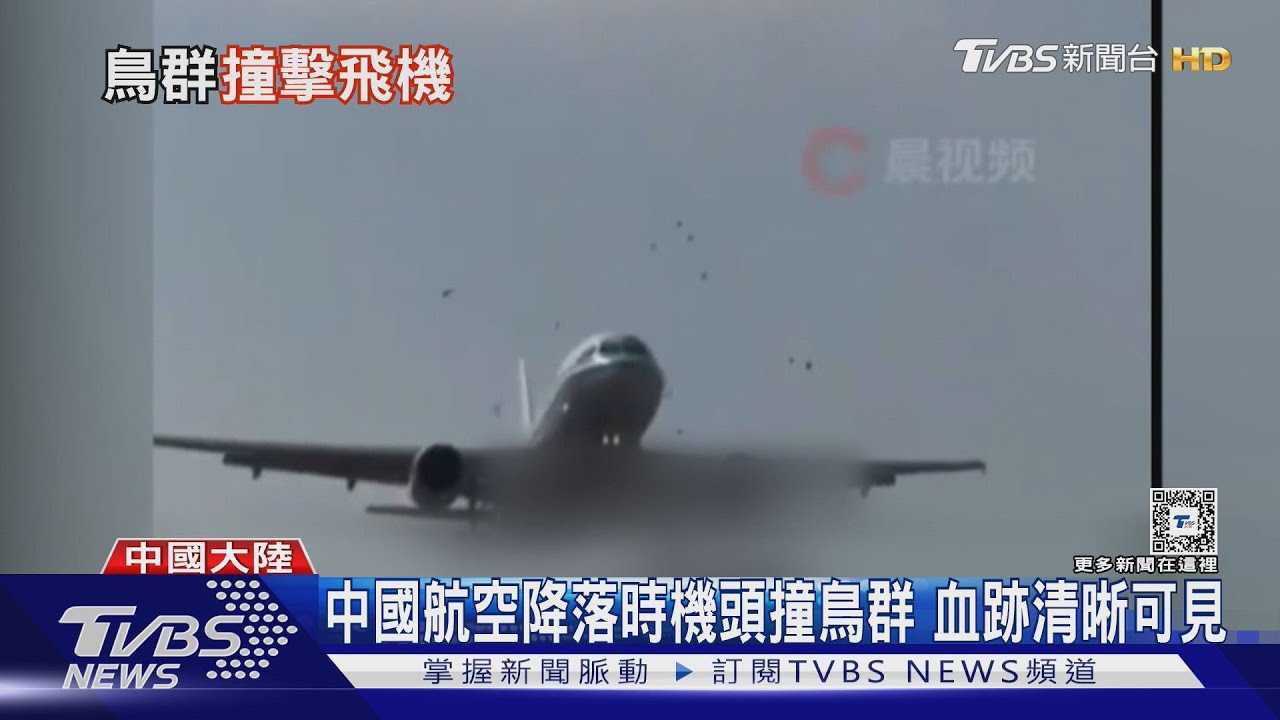 中國航空降落時機頭撞鳥群 血跡清晰可見