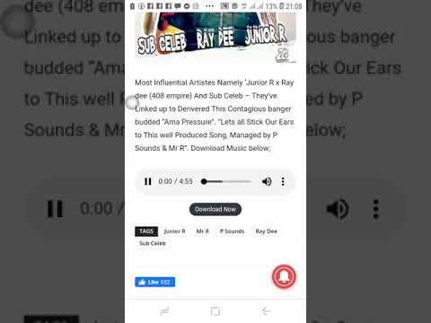 junior R  ft ray dee x sub celeb