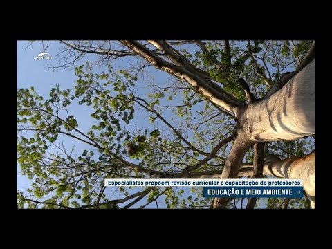 Educação ambiental: especialistas defendem revisão de currículos escolares