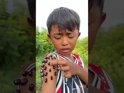 Survival Skills: SMART and USEFUL ideas with ibutunggal #bushcraft #camping #ou