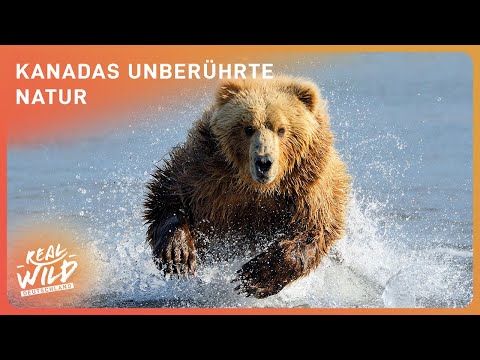 3 Stunden beeindruckende Natur Kanadas