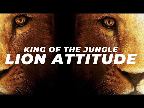 The Lion Attitude (Lion Mindset) Best Motivational Video