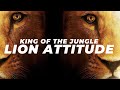 The Lion Attitude Lion Mindset Best Motivational Video