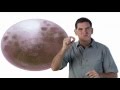 Eggs Dinosaur Train The Jim Henson Company