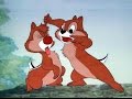 Chip And Dale Donald Duck Cartoons Full Episodes Cartoon Movie For Kids
